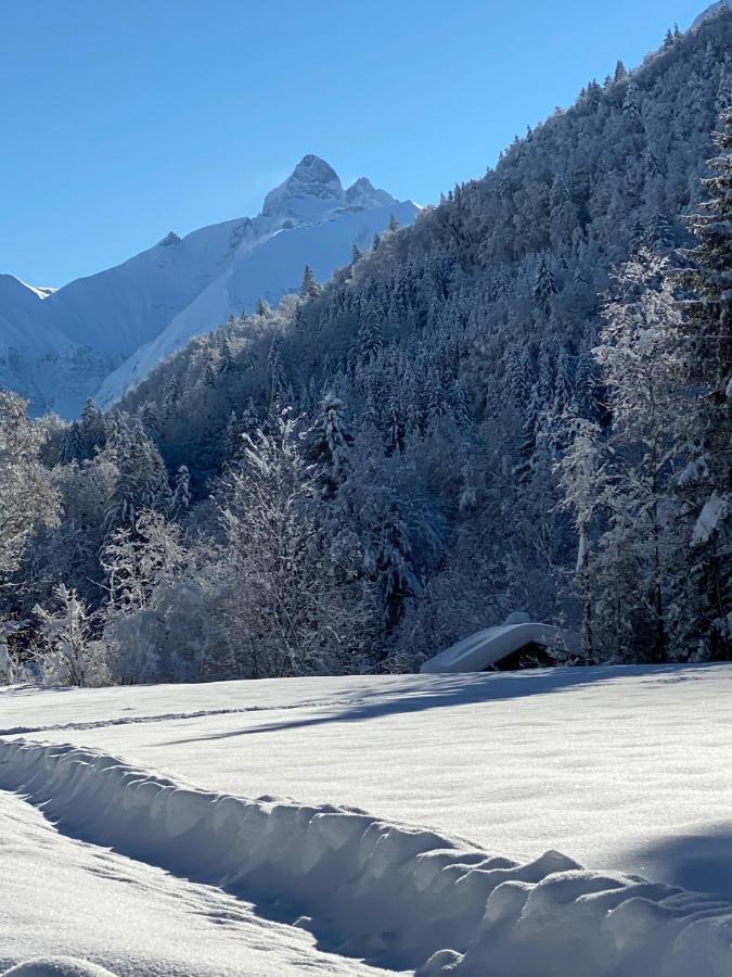 Landhaus Am Plattenbichl - Luxus Apartment Mit Privat-Pool Und Sauna - Im Sommer Bergbahn Inklusive Oberstdorf Exterior foto