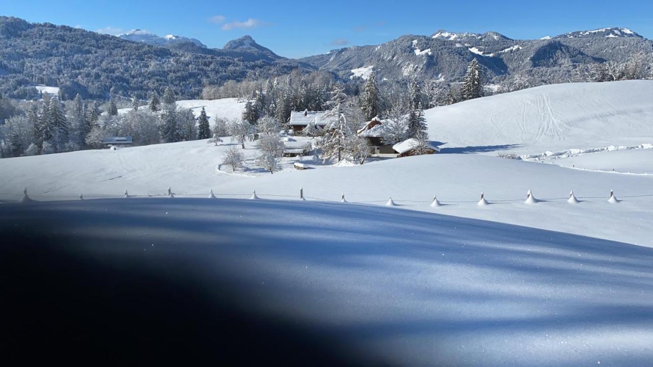 Landhaus Am Plattenbichl - Luxus Apartment Mit Privat-Pool Und Sauna - Im Sommer Bergbahn Inklusive Oberstdorf Exterior foto
